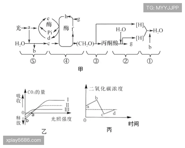 迈尼昂vs范德森_禁区终结转向边路推进,个人硬度与体系依赖的分化
