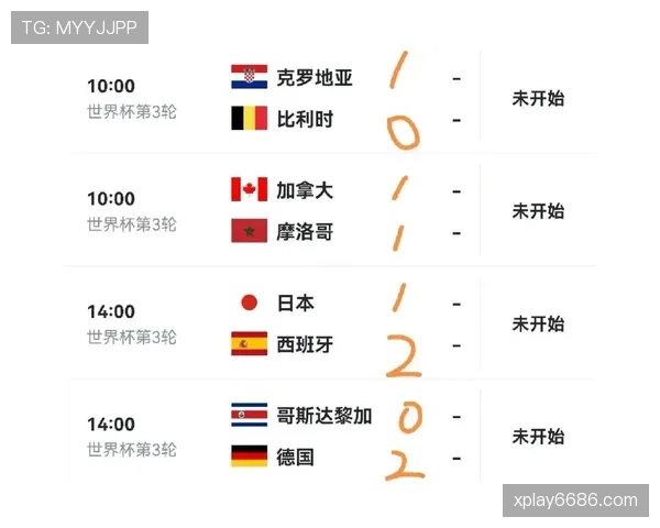 世界杯E组最新晋级概率公布